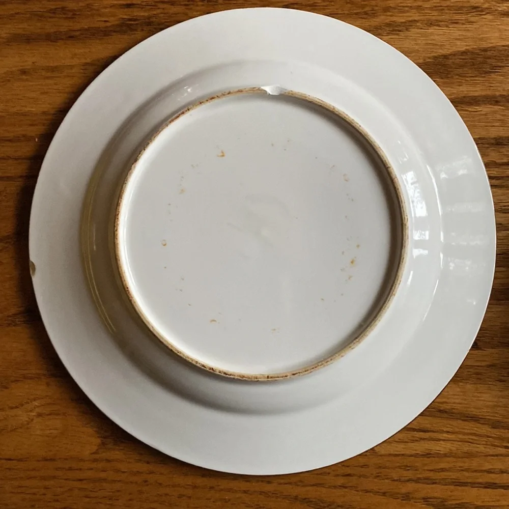 2 Bird hand painted plates, Pier 1 Imports, 8.5”
